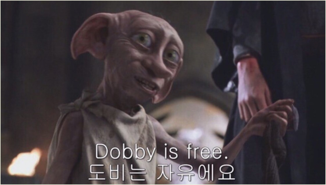 Dobbyisfree